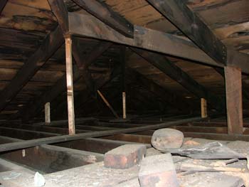 ImageJPEG_0232